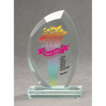 Tryumf LuxorJet color printed glass trophy and case