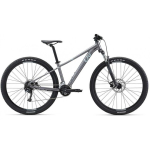 Liv Tempt 29 2 Liquid Metal Mountain Bike