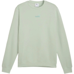 Meeste Meeste kapuutsiga s&auml;rk Puma ESS Small No.1 Logo roheline 692913 28 (2XL)