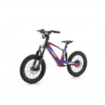 Laste tasakaaluratas Sedna Evo Racing 18 500W