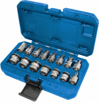 15-OS. 3 / 8" MADALATE. MAGNET-&Otilde;LIKORGI PADRUNITE KOMPLEKT TRIUMF