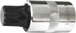 12-T&Auml;HIK PADRUNOTSIK XZN M17 1 / 2" TRIUMF