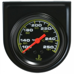 TEMPERATUURI N&Auml;IDIK MEH