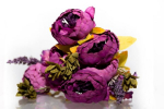 Lillekimp pojengid ˙Antiik Violet˙ - toorsiidist (48cm)
