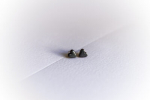 K&otilde;rvar&otilde;ngad ˙S&uuml;damed˙ &ndash; grafiit, glasuuritud, puidust (6&times;6mm)