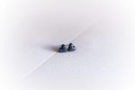 K&otilde;rvar&otilde;ngad ˙S&uuml;damed˙ &ndash; tumesinised, glasuuritud, puidust (6&times;6mm)