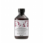 Davines - Naturaltech Replumping Shampoo 250ml