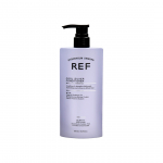 REF - Cool Silver Conditioner