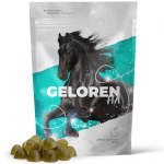GELOREN Horse HA Liigeste vitamiinid hobustele 450g