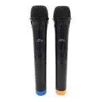 Juhtmevabad karaoke mikrofonid ACCENT PRO MT395