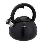 Non-Electric Kettle TEFAL N4180410, Black, Matte