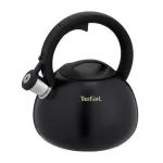Non-Electric Kettle TEFAL N4180410, Black, Matte