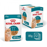 ROYAL CANIN Ageing 11+ kassitoit t&uuml;kkidena kastmes - 12x85g