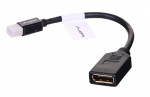 Lanberg AD-0003-BK DisplayPort kaabel 0,12 m Mini DisplayPort must