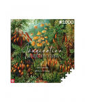 Imagination Puzzle: Ernst Haeckel Muscinae 1000 elements