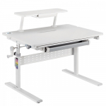 Children ergonimic desk Ergo Office ER-483