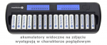 Laadija everActive NC-1600