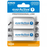 Laetavad akud everActive R20/D Ni-MH 10000 mAh kasutusvalmis