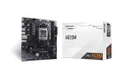 BIOSTAR A620MT-E 2.0 motherboard