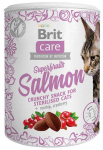BRIT Care Superfruits l&otilde;he - kassitoit - 100 g