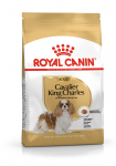 Royal Canin SHN Cavalier K-C koeratoit 1,5 kg