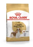 Royal Canin SHN Cavalier K-C koeratoit 1,5 kg
