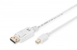Cable DisplayPort 1.1a Mini  DP-DP M / M 2.0m