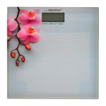 Esperanza EBS010 isiklik kaal Elektrooniline isiklik kaal