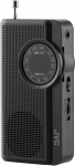JVC kaasaskantav raadio RA-E311B
