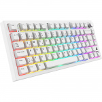 SKILLER SGK55W (white, DE layout, Sharkoon Linear)
