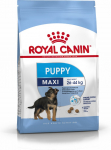Royal Canin SHN Maxi Puppy - kuiv kutsikatoit - 4 kg