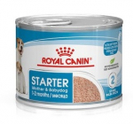 ROYAL CANIN Starter Mousse ema- ja kutsikatoit - purk 195g
