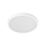 Smart Ceiling Light D40