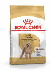 Royal Canin Poodle Adult 1,5 kg
