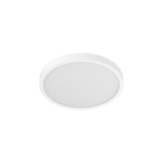 Lamp Smart Ceiling Light D30