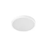 Lamp Smart Ceiling Light D30