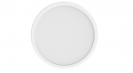 Smart Ceiling Light D20