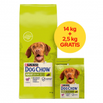 PURINA Dog Chow Adult Lamb - kuiv koeratoit - 14 + 2,5 kg