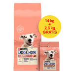 PURINA Dog Chow Sensitive l&otilde;hega kuiv koeratoit - 14 + 2,5 kg