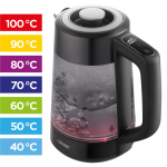 Electric glass kettle with temperature regulation RK4195