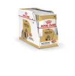 ROYAL CANIN Shih Tzu Adult Wet dog food P&acirc;t&eacute; 12x85 g