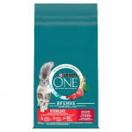 PURINA One Sterilcat Wołowina - kassi kuivtoit - 9,75kg