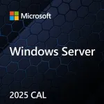 Microsoft Windows Server CAL 2025 kliendip&auml;&auml;sulitsents (CAL) 1 litsents(id)