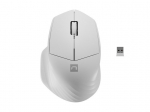 NATEC JUHTMETA HIIR SISKIN 2 BT 5.0 + 2.4GHZ