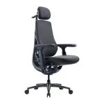 Dynamic Ergonomic Chair LiberNovo Maxis (Graphite)