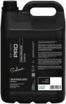 DR LUCY Black & Silver - shampoo for dark coat for dogs - 5 L