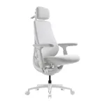 Dynamic Ergonomic Chair LiberNovo Maxis-PRO