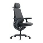 Dynamic Ergonomic Chair LiberNovo Maxis-PRO