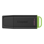 Kingston DataTraveler Exodia 256 GB (black/green, USB-A 3.2 Gen 1)