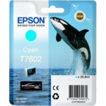Epson Tusz Cyan C13T76024010